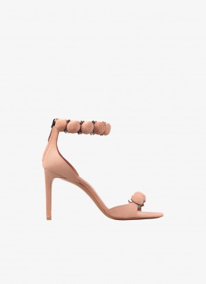 Blush Women's Alaia Bombe Sandals Canada | T8Y-2817